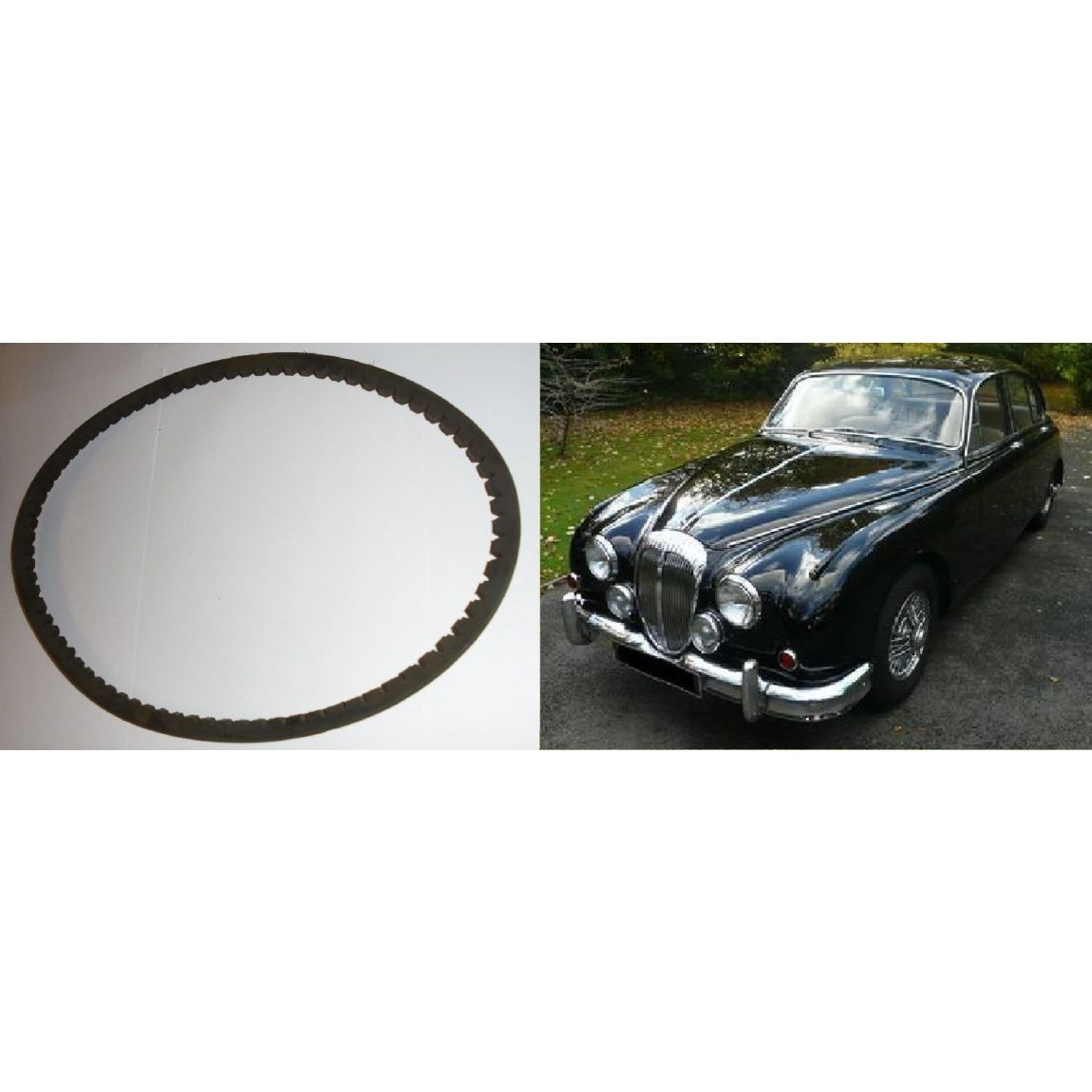 FAN BELT (Daimler V8 250 2.5 Litre Saloon) (**Crankshaft to Fan** ) (1962- 69)  